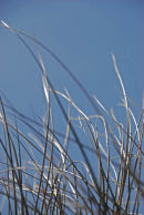 Les Sables Blanc 19